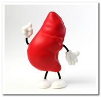 MCH-016 Liver Man Figure